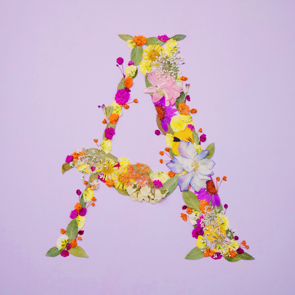 Sustainable Diy Art: A Gentle Way To Create, Feel, And Live With Intention 1 Letter a made from colorful pressed flowers in a creative diy art style