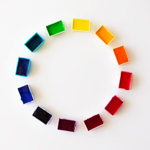 color wheel arranged with watercolor blocks as inspiration for pressed flower art ideas