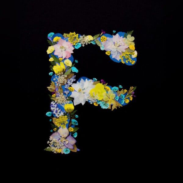pressed flower letter F collage on black background as a creative expression from pressed flower art ideas