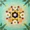 Pressed flower kit mandala in warm yellow tones, with daisies and nasturtiums on green canvas