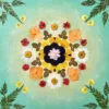 Pressed flower kit mandala in warm yellow tones, with daisies and nasturtiums on green canvas