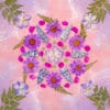 Purple mandala art created with a pressed flower kit, featuring cosmos and delphinium on pink background