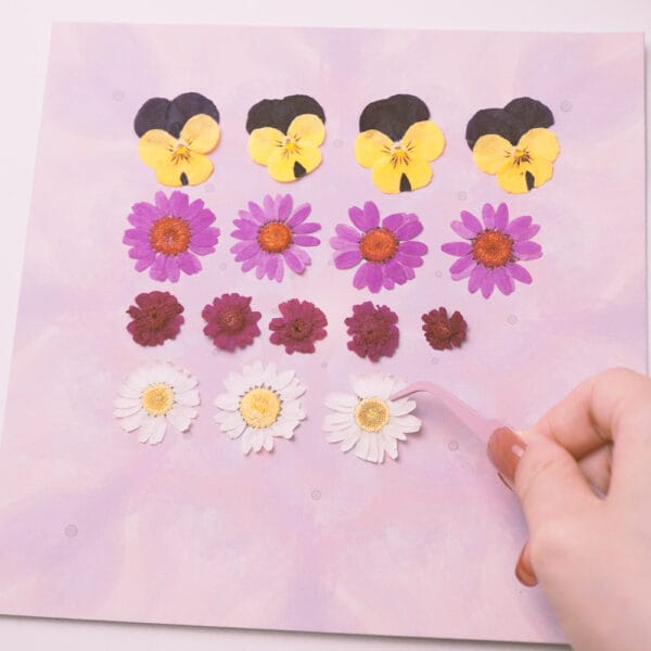 Dried flowers arranged on a mandala grid before gluing, part of pressed flower kit process