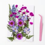 real dried flowers in lavender and magenta – part of the Serenity Bloom pressed flower kit