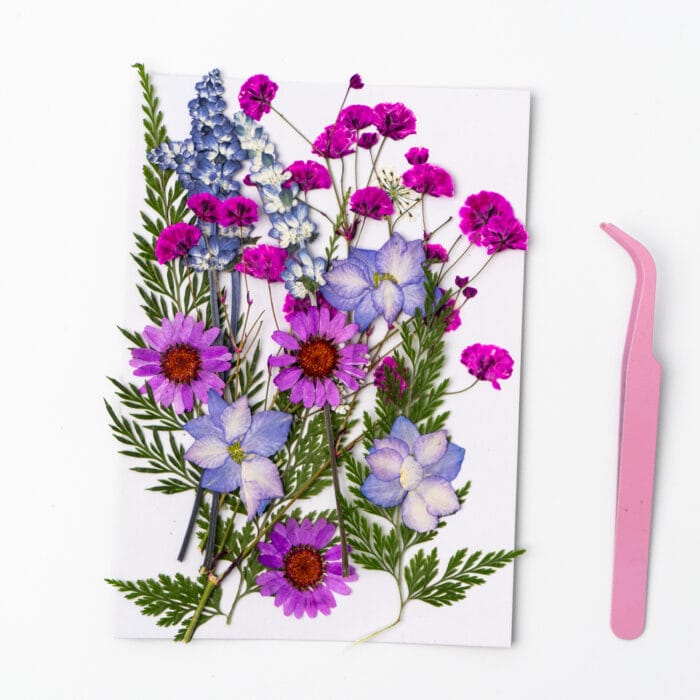 Real dried flowers in lavender and magenta – part of the serenity bloom pressed flower kit