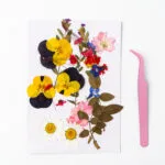 real pressed flowers in yellow, pink, and white – included in the Serenity Light pressed flower kit