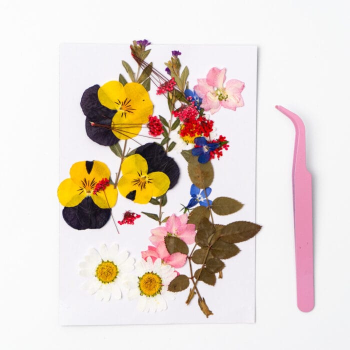 Real pressed flowers in yellow, pink, and white – included in the serenity light pressed flower kit