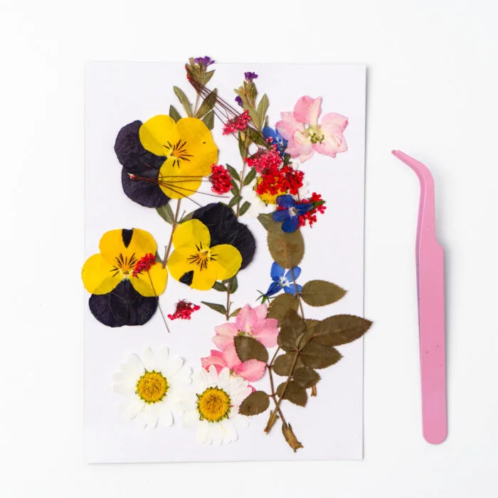 Real pressed flowers in yellow, pink, and white – included in the serenity light pressed flower kit