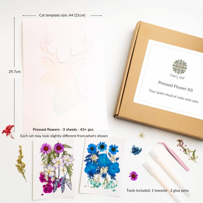 Pressed flower kit by petal & still with deer template and colorful dried flowers for mindful crafting.