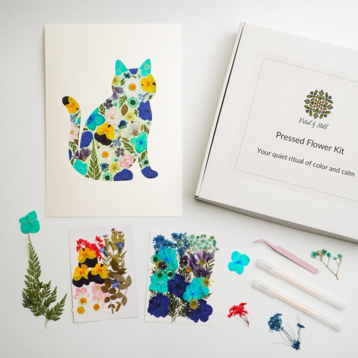 The contents of a diy pressed flower kit for cat art, including high-quality pressed flower sheets, a cat template, and essential tools for creating a beautiful floral masterpiece.