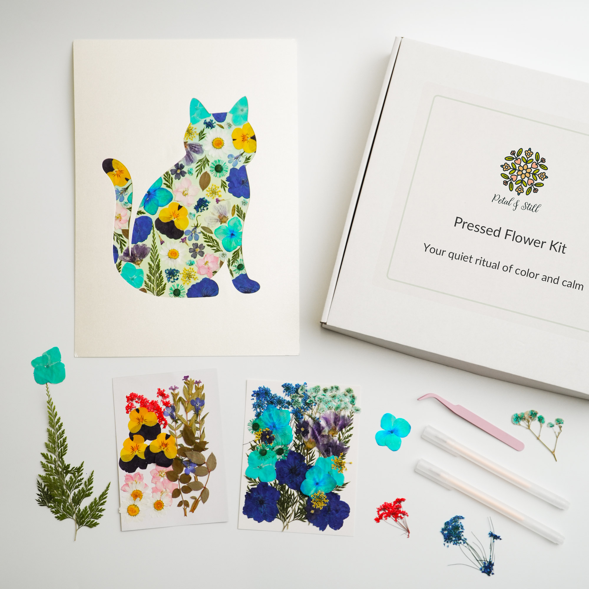Home 1 Pressed flower diy cat kit with real petals, tools, tweezers, templates, and box included.