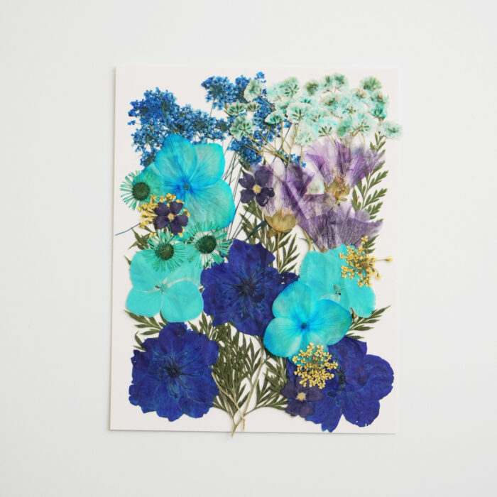 A pressed flower sheet in blue tones, perfect for creating floral cat artwork with calming colors.