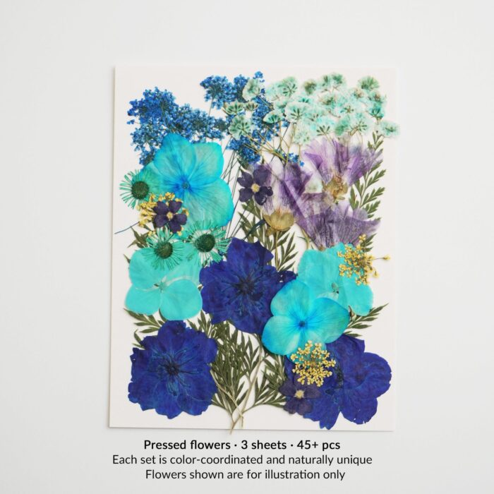 A blue and teal pressed flower sheet from the petal & still kit, featuring hydrangeas, nigella, larkspur, and naturally varied botanicals. Each set is uniquely color-coordinated.