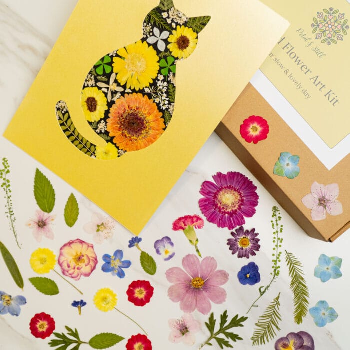 Pressed flower kit cat cosy finished design with bright yellow and orange pressed flowers.