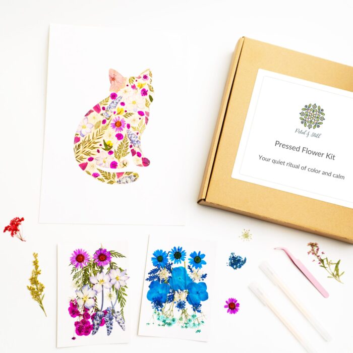 Pressed flower kit — curious edition, featuring a completed cat collage alongside dried flowers, tools, and diy kit packaging.