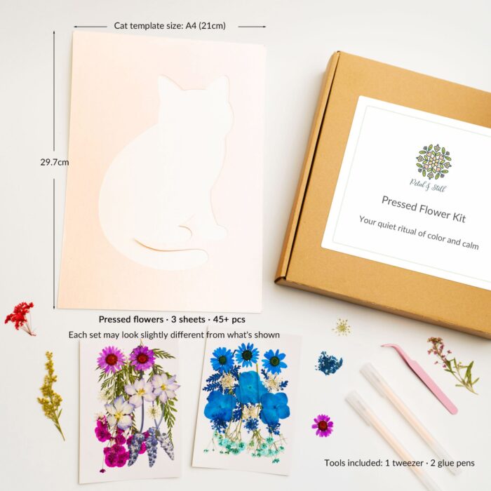 Cat-shaped template and full diy pressed flower materials – everything included in the curious edition of the pressed flower kit.