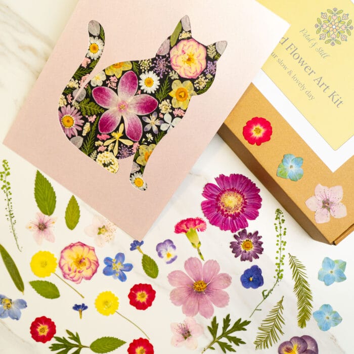 Pressed flower kit cat elegant finished design with pink, purple, and white pressed flowers.