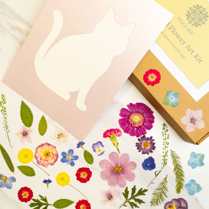 Pressed flower kit cat elegant template with soft pink card silhouette.