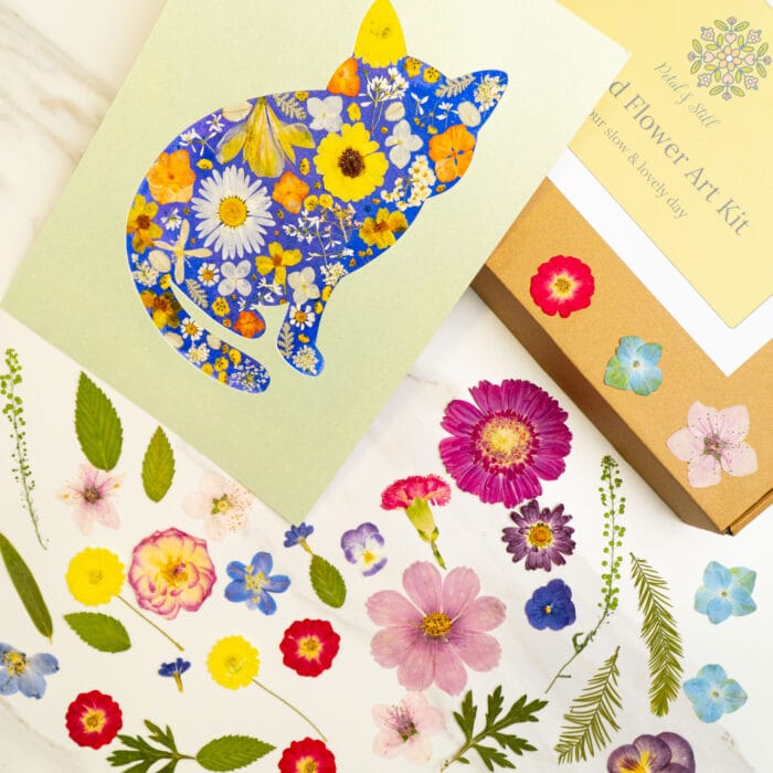 Pressed flower kit cat gentle finished design with blue, yellow, and white pressed flowers.