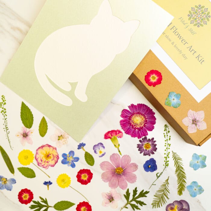 Pressed flower kit cat gentle template with pale green card silhouette.