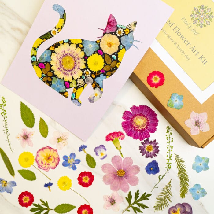 Pressed flower kit cat lively finished design with vibrant multicolored pressed flowers.