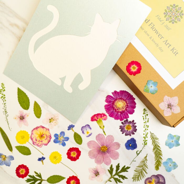 Pressed flower kit cat lively template with mint green card silhouette.
