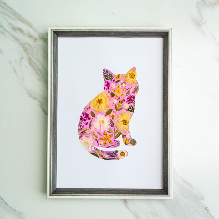 Pressed flower kit cat silhouette with soft pink background and yellow flowers