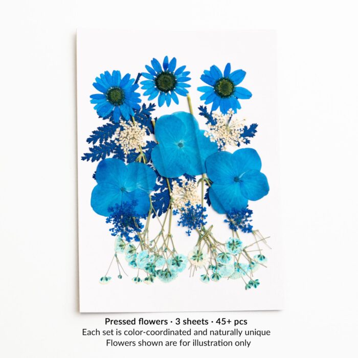 A pressed flower sheet in bright blue tones, with daisy-like blooms, hydrangeas, and soft white accents. Included in the 3-sheet petal & still pressed flower kit.