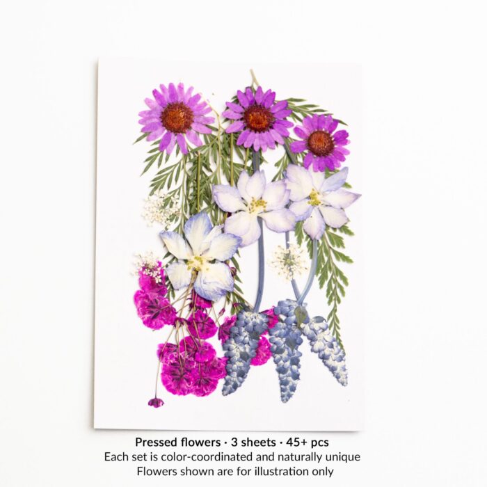 A pressed flower arrangement with purple daisies, white larkspur, and gentle pastel accents. One of the 3 floral sheets included in the petal & still kit.