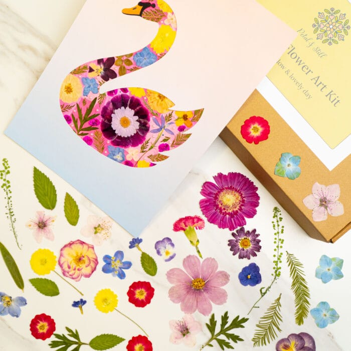Pressed flower kit swan finished design filled with colorful pressed flowers on pastel card.