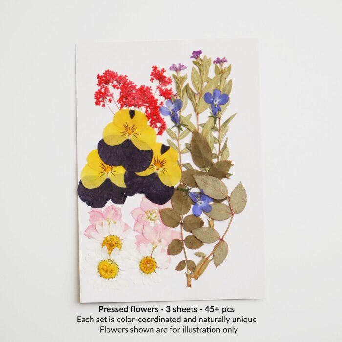 A warm-toned pressed flower sheet with yellow pansies, red clusters, pink roses, and natural leaves. Each set is curated for color harmony and uniqueness.