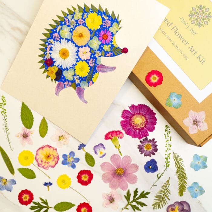 Completed hedgehog silhouette art decorated with colorful dried flowers from a pressed flower kit.