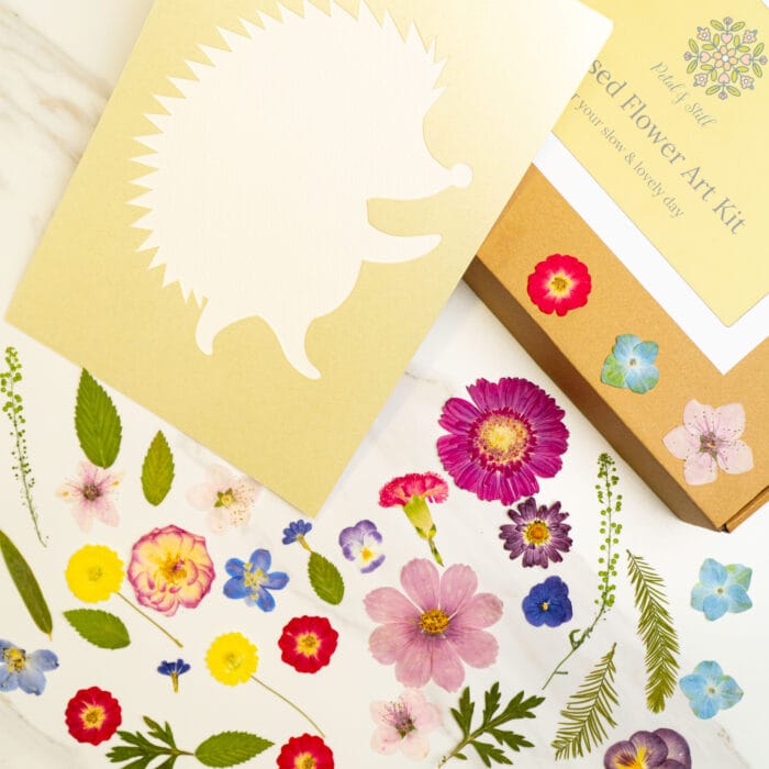 Blank hedgehog silhouette template card from a pressed flower kit on a golden background.