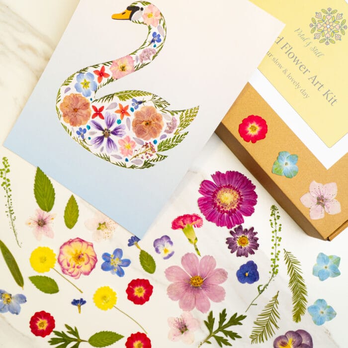 Finished swan silhouette art filled with pressed flowers, made using a pressed flower kit.