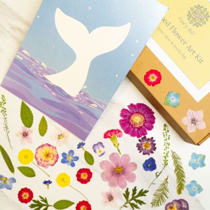 Blank whale tail silhouette template card from a pressed flower kit, with ocean background.