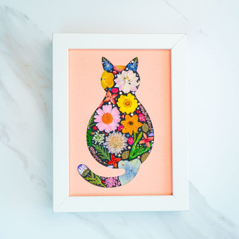 Pressed flower cat artwork against soft pink background, blossom-filled silhouette of a sitting cat