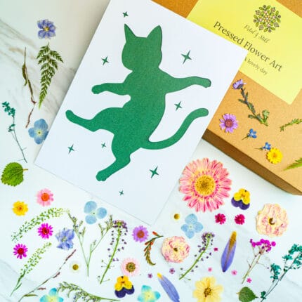 Template card of a dancing cat silhouette floating among stars, DIY pressed flower art kit with natural pressed flowers