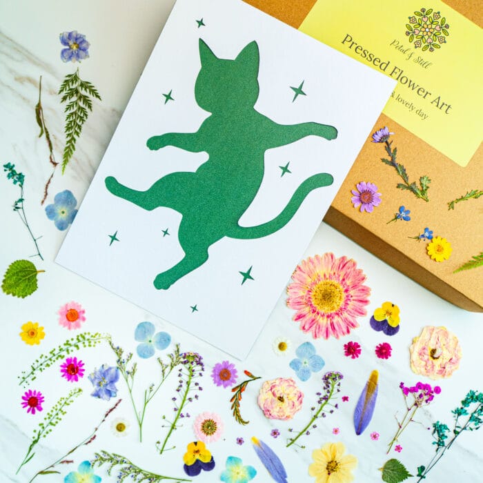 Template card of a dancing cat silhouette floating among stars, diy pressed flower art kit with natural pressed flowers