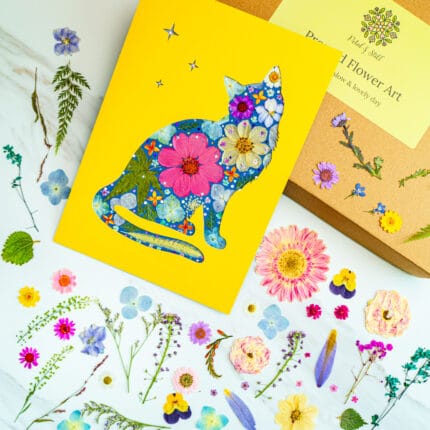 Pressed flower cat artwork of a dreamy cat silhouette looking at stars, colorful handmade pressed flower collage on yellow background