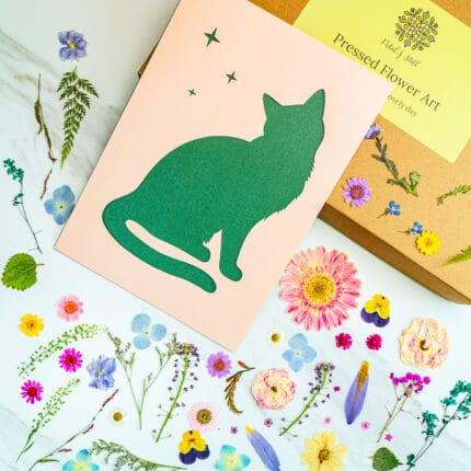 Template card of dreamy sitting cat silhouette with stars, DIY pressed flower kit for handmade art