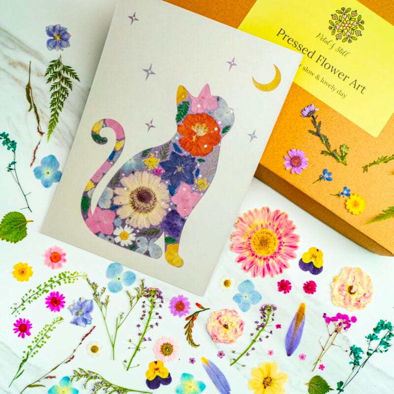 Pressed flower cat artwork of a moonlit sitting cat under stars and moon, handmade floral collage with colorful pressed flowers