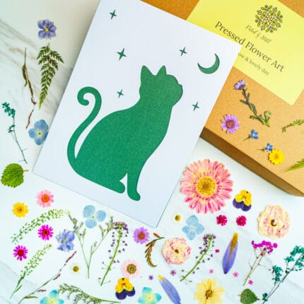 Template card of a moonlit cat silhouette sitting under stars and moon, DIY pressed flower kit with natural flowers
