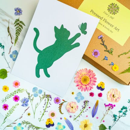 Template card of playful cat silhouette reaching for butterfly, DIY pressed flower kit with natural flowers