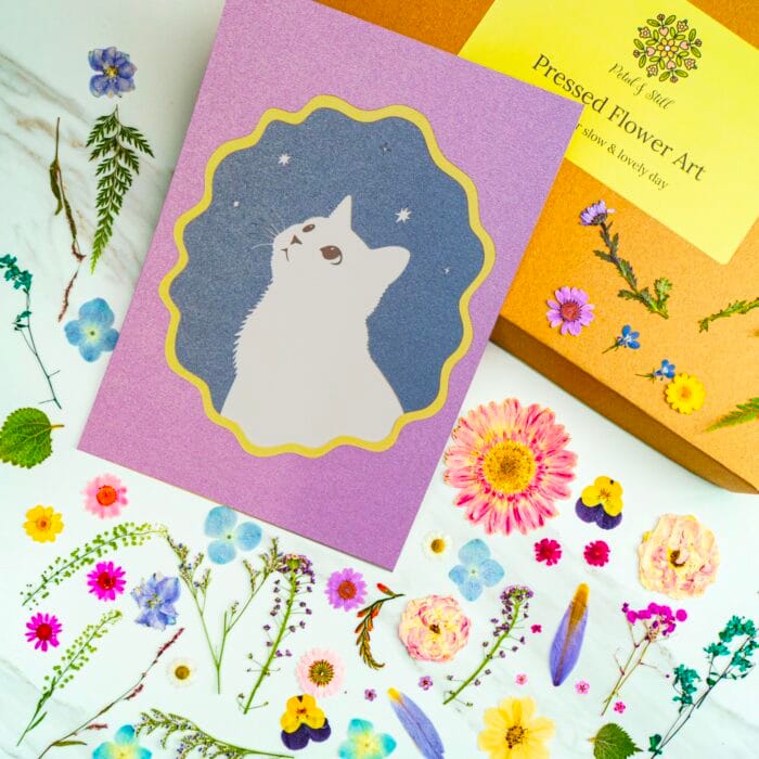 Template of pressed flower art cat silhouette on a purple background with star accents, showing the design outline for diy pressed flower kit, surrounded by dried flowers and petal & still box.